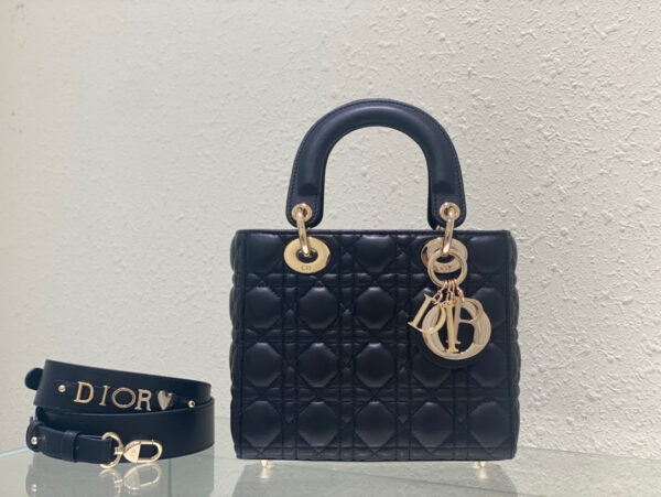 Lady Dior ABC