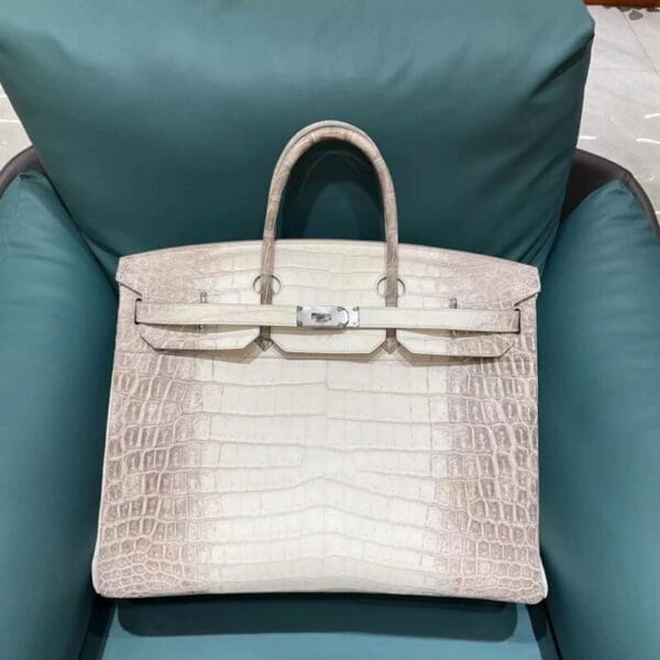 Birkin 45  من بطن تمساح النيل