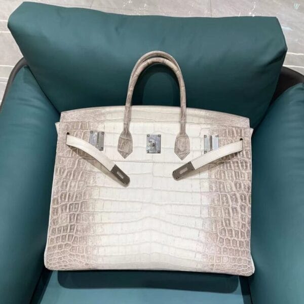 ⁦Birkin 45  من بطن تمساح النيل⁩ - الصورة ⁦4⁩