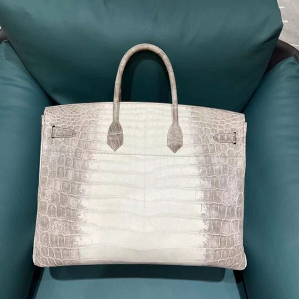 ⁦Birkin 45  من بطن تمساح النيل⁩ - الصورة ⁦2⁩