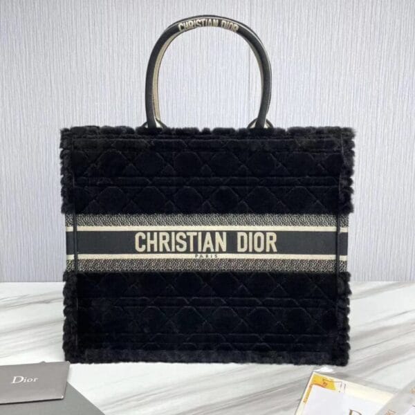 Dior book tote