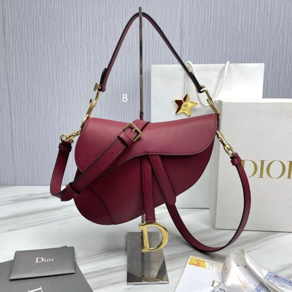 Dior saddle bag 19 colors