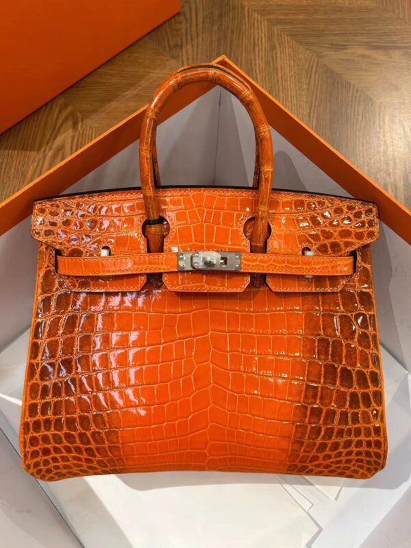 birkin اخر اصدار من ايرمز مصنوعه من جلد التمساح