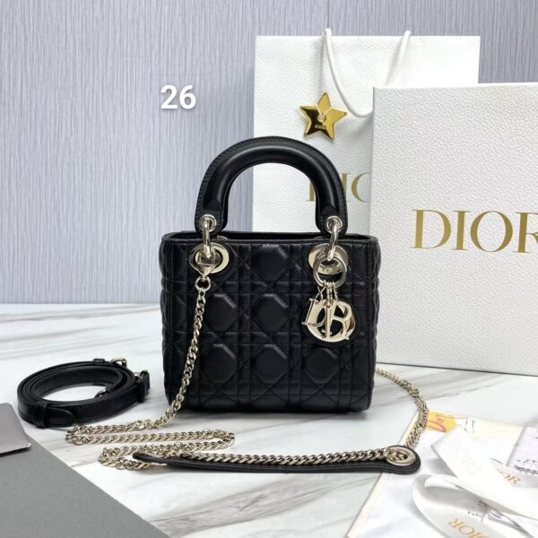 Lady Dior  ( 32 )  colors - Image 27