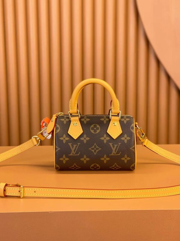 LV Nano Speedy handbag